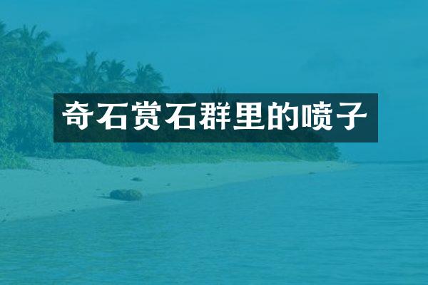 奇石赏石群里的喷子