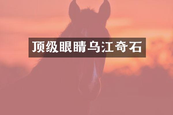 顶级眼睛乌江奇石