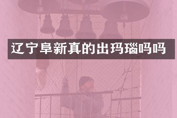 辽宁阜新真的出玛瑙吗吗
