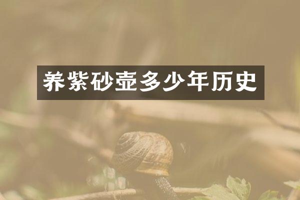 养紫砂壶多少年历史