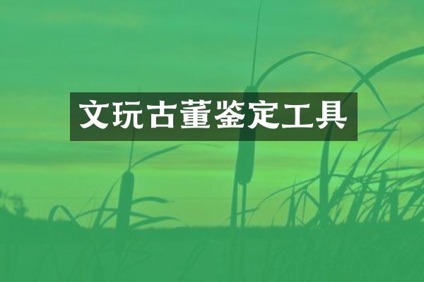 文玩古董鉴定工具