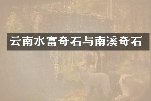 云南水富奇石与南溪奇石
