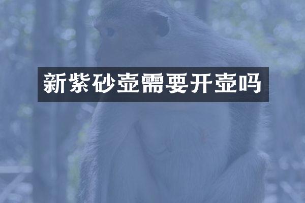 新紫砂壶需要开壶吗