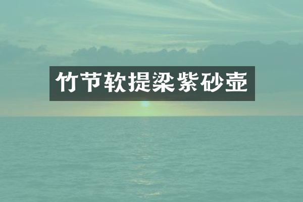 竹节软提梁紫砂壶