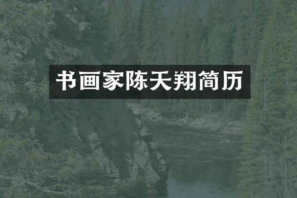 书画家陈天翔简历