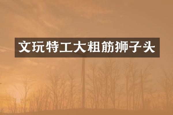 文玩特工大粗筋狮子头