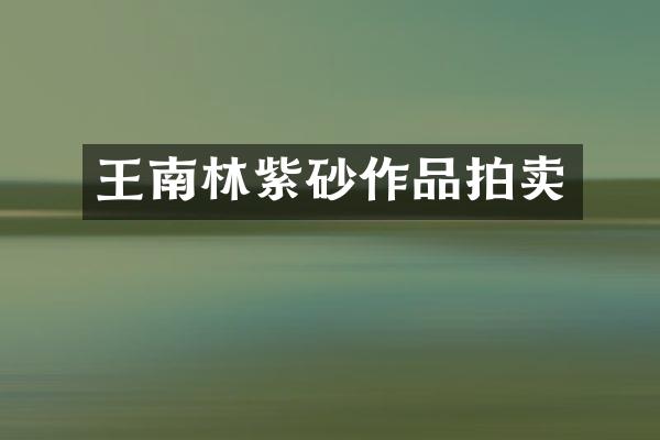 王南林紫砂作品拍卖