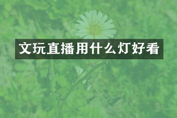 文玩直播用什么灯好看