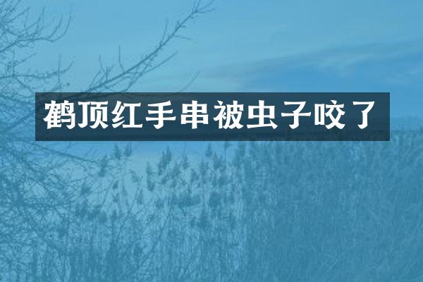 鹤顶红手串被虫子咬了