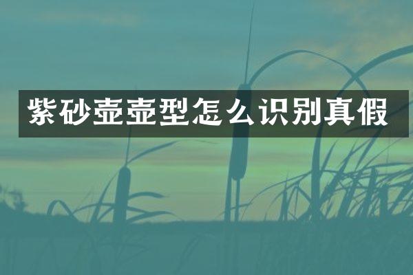 紫砂壶壶型怎么识别真假