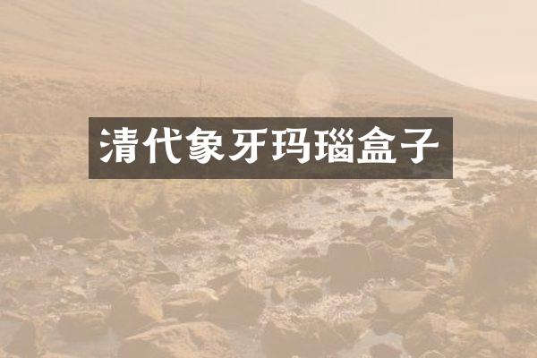 清代象牙玛瑙盒子