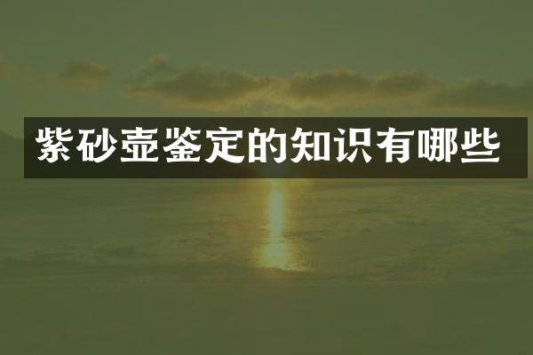 紫砂壶鉴定的知识有哪些