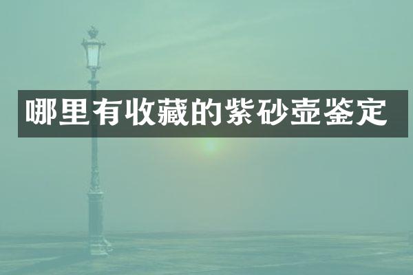 哪里有收藏的紫砂壶鉴定