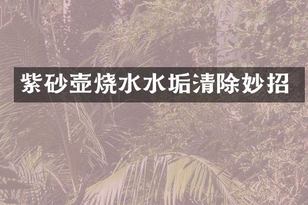紫砂壶烧水水垢清除妙招