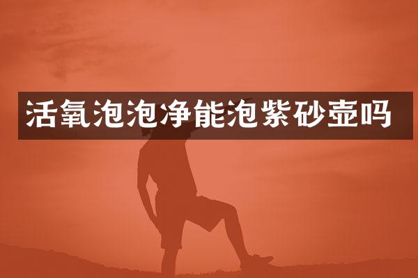 活氧泡泡净能泡紫砂壶吗