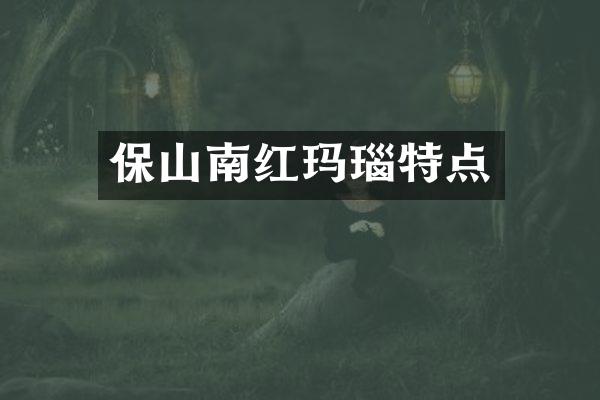 保山南红玛瑙特点