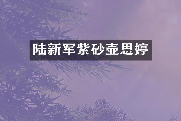 陆新军紫砂壶思婷