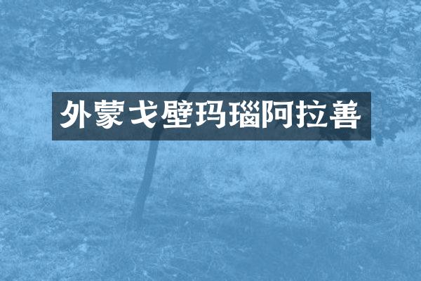 外蒙戈壁玛瑙阿拉善