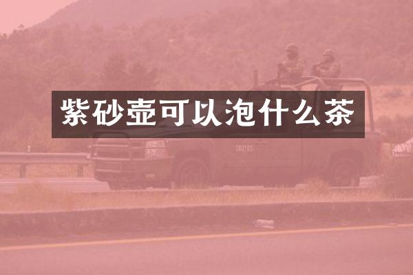 紫砂壶可以泡什么茶