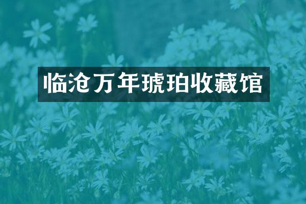 临沧万年琥珀收藏馆