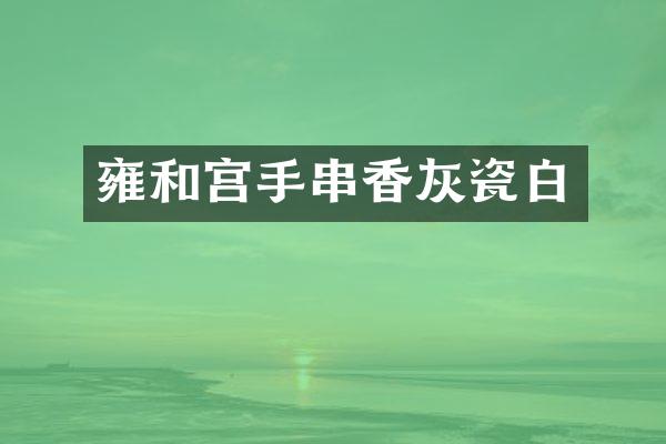 雍和宫手串香灰瓷白