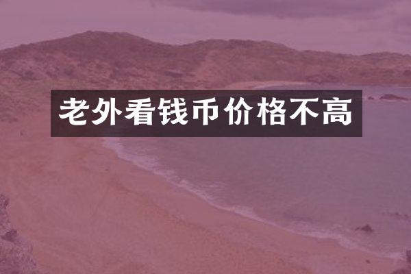 老外看钱币价格不高