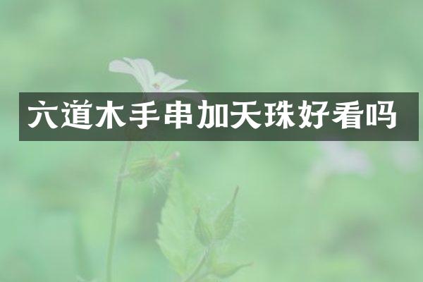 六道木手串加天珠好看吗