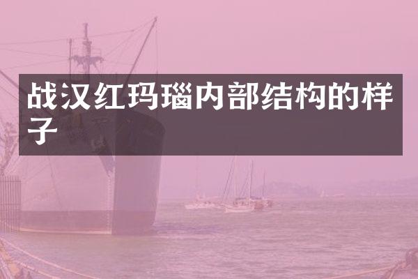 战汉红玛瑙内部结构的样子