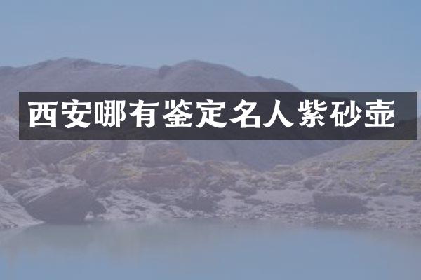 西安哪有鉴定名人紫砂壶