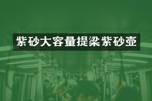 紫砂大容量提梁紫砂壶