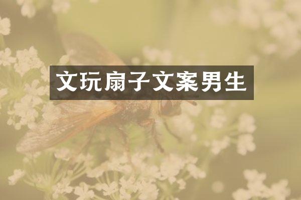 文玩扇子文案男生