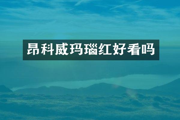 昂科威玛瑙红好看吗