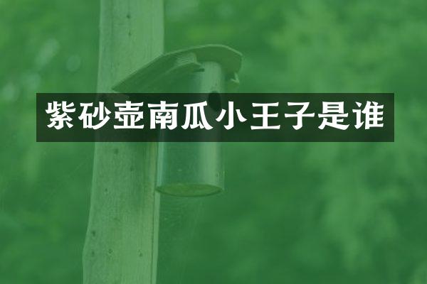 紫砂壶南瓜小王子是谁