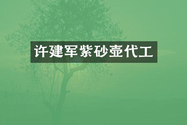 许建军紫砂壶代工