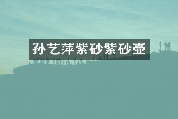 孙艺萍紫砂紫砂壶