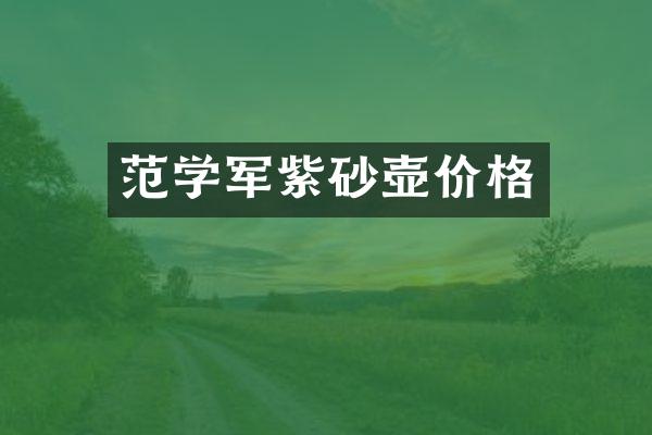 范学军紫砂壶价格