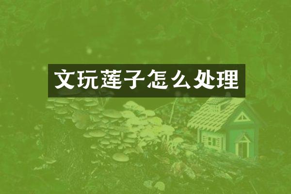 文玩莲子怎么处理