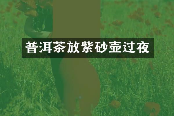 普洱茶放紫砂壶过夜