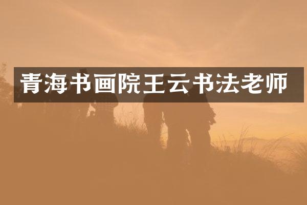 青海书画院王云书法老师