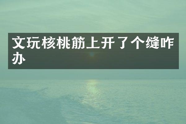 文玩核桃筋上开了个缝咋办