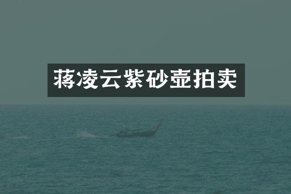 蒋凌云紫砂壶拍卖