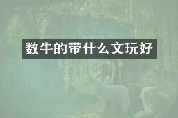 数牛的带什么文玩好