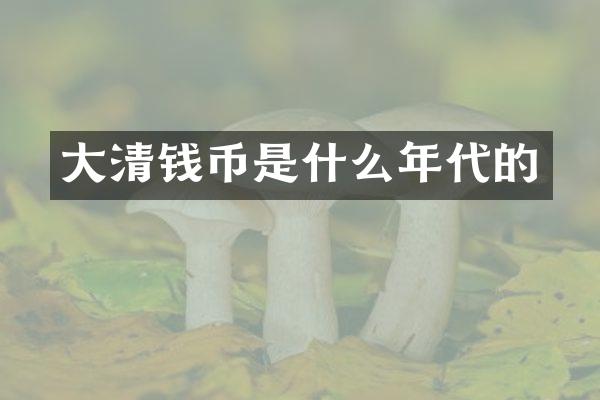 大清钱币是什么年代的