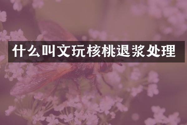 什么叫文玩核桃退浆处理