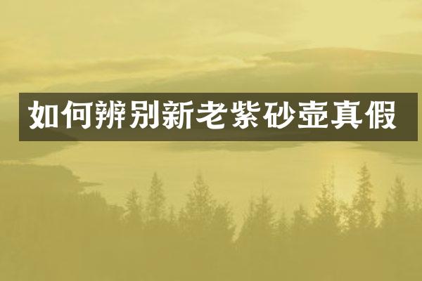 如何辨别新老紫砂壶真假