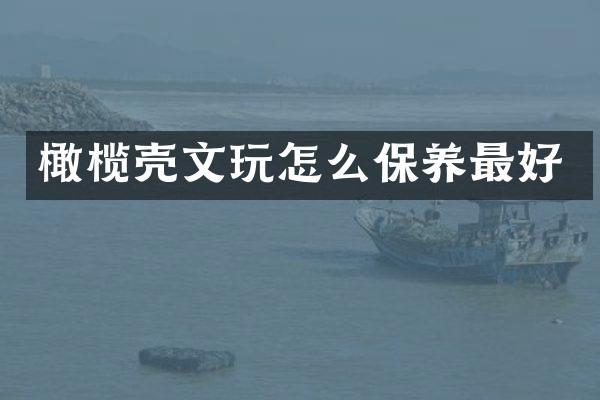 橄榄壳文玩怎么保养最好