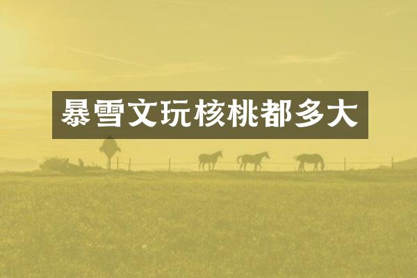 暴雪文玩核桃都多大