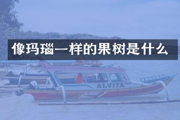 像玛瑙一样的果树是什么