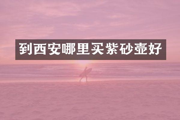 到西安哪里买紫砂壶好