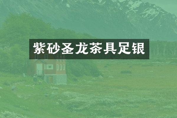 紫砂圣龙茶具足银